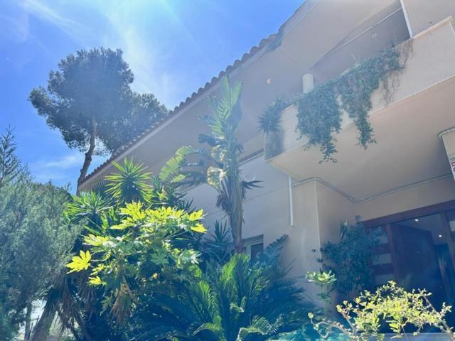 Villa Sunandbed Sargantana *